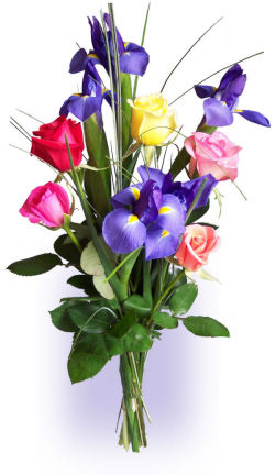 Send flowers online international -LocalStreets- Flower delivery,florists:Barely Bouquet Roses & Irises